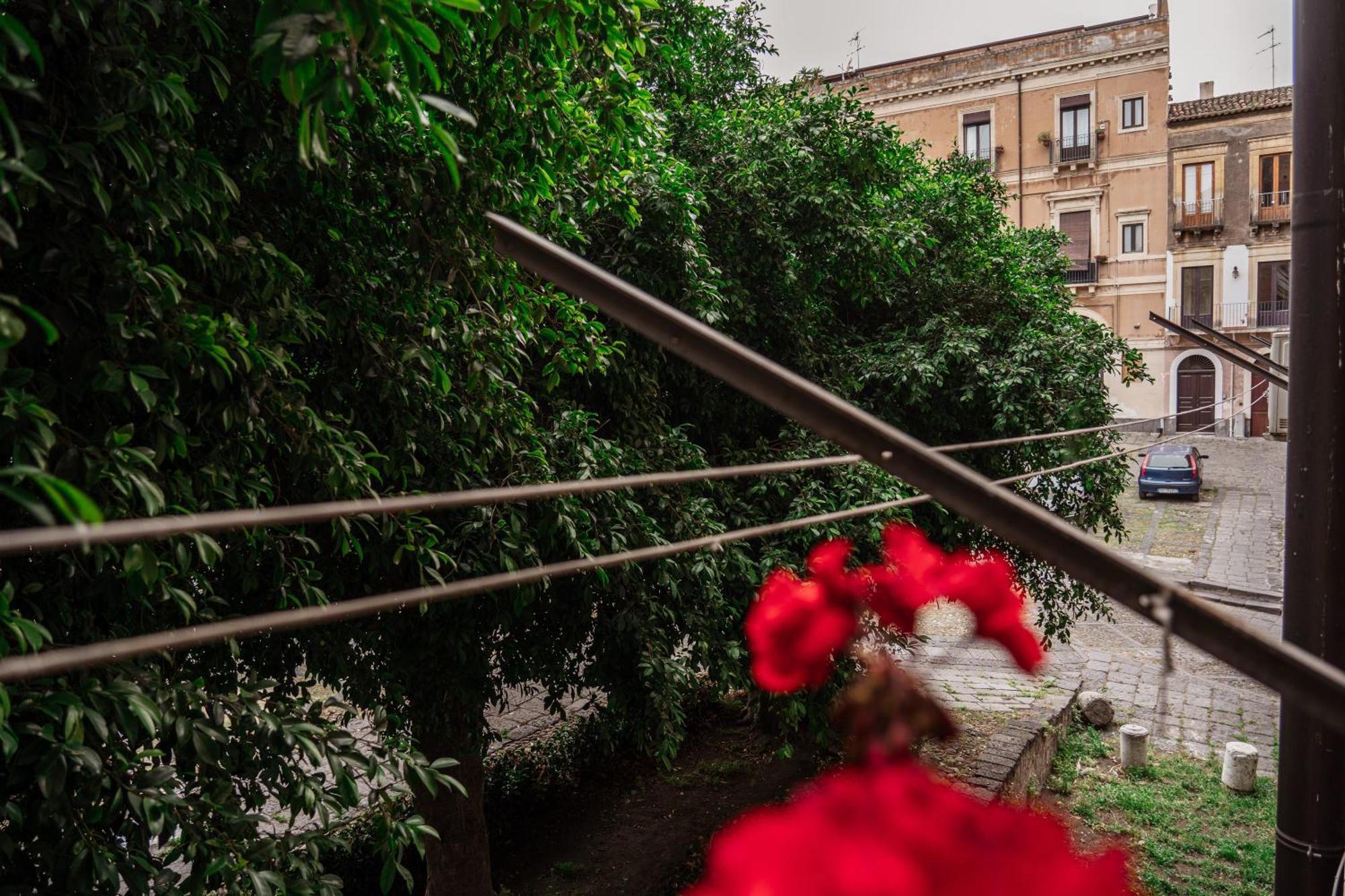 Bed And Books Bed & Breakfast Catania Luaran gambar