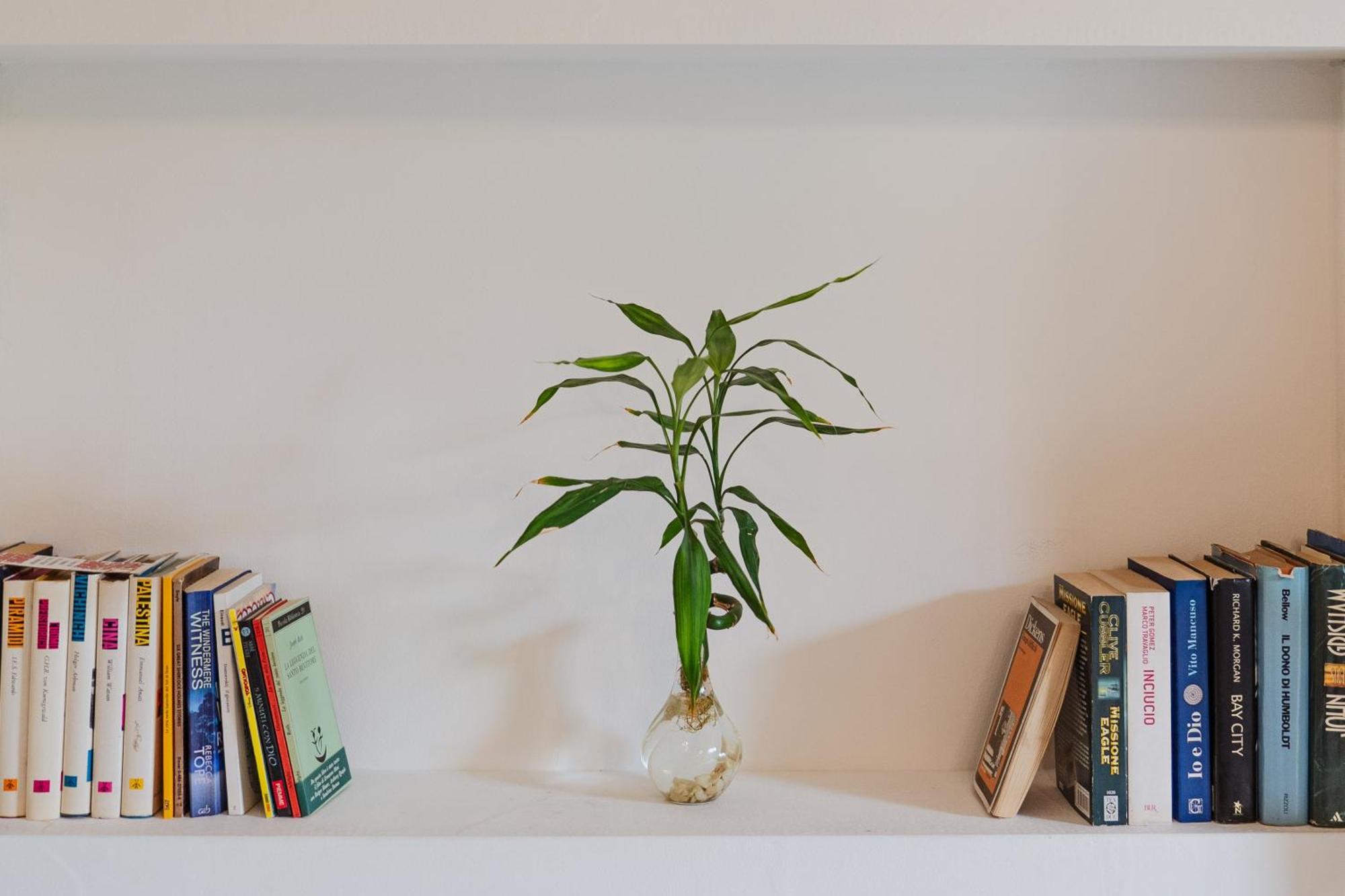 Bed And Books Bed & Breakfast Catania Luaran gambar